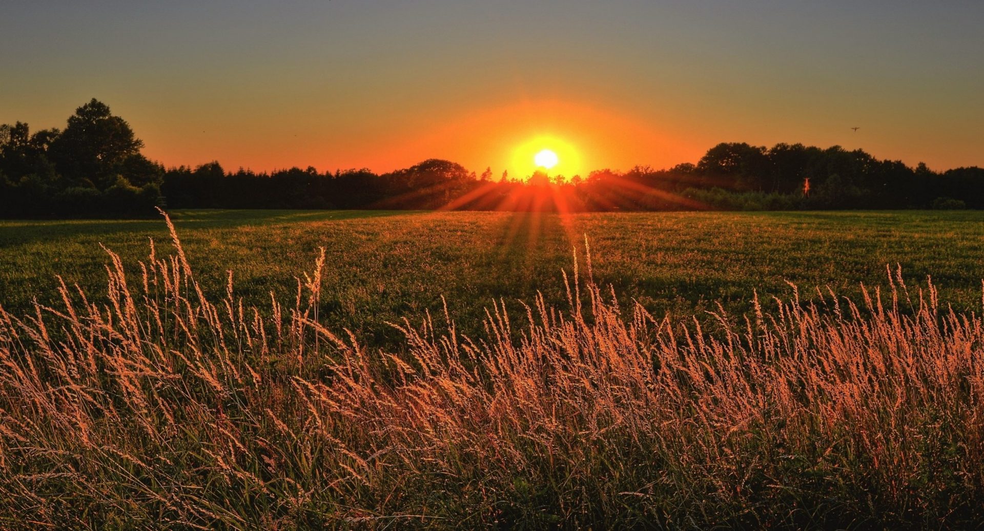 Opus Peace July Webinar:Easing the Burden of Professional Caregiver Distress